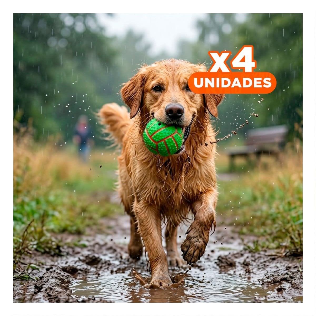 PACK4 SET VERDE PARA PERRO A RAYAS DE CAUCHO CON RELIEVE Y SONIDO - 1