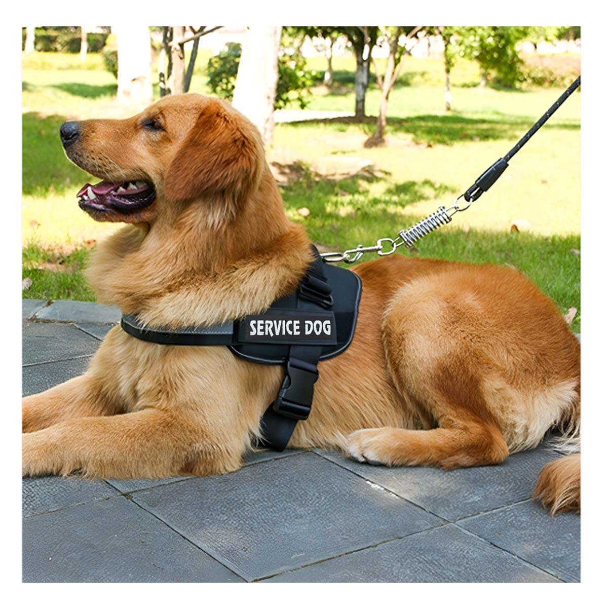PACK2 PECHERA DE TRABAJO PARA PERRO TALLA L COLOR NEGRO Y+REGALO STICKER - 3