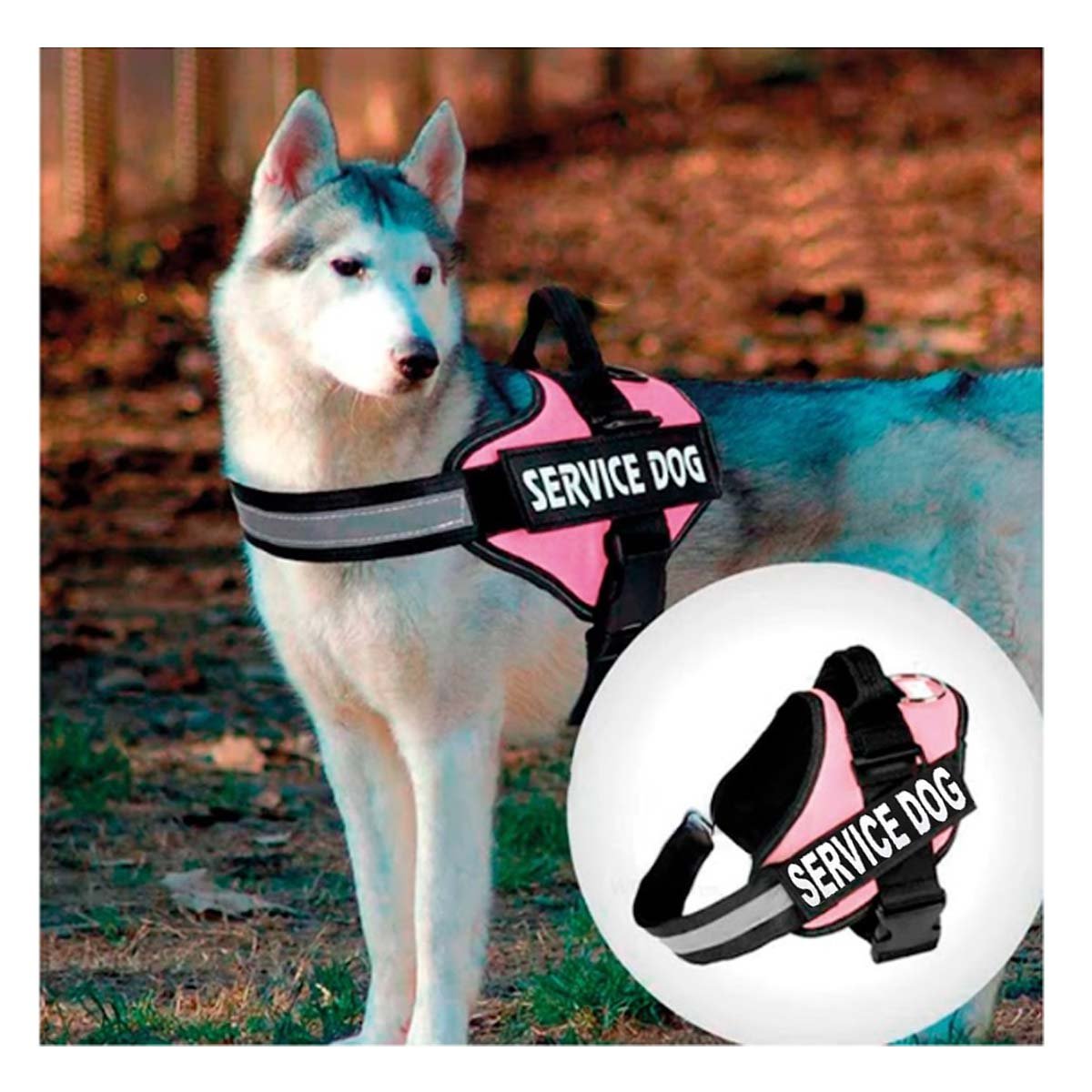 PACK4 CINTURON DE TRABAJO PARA PERRO TALLA L COLOR ROSADO Y+PAPEL REGALO - 2