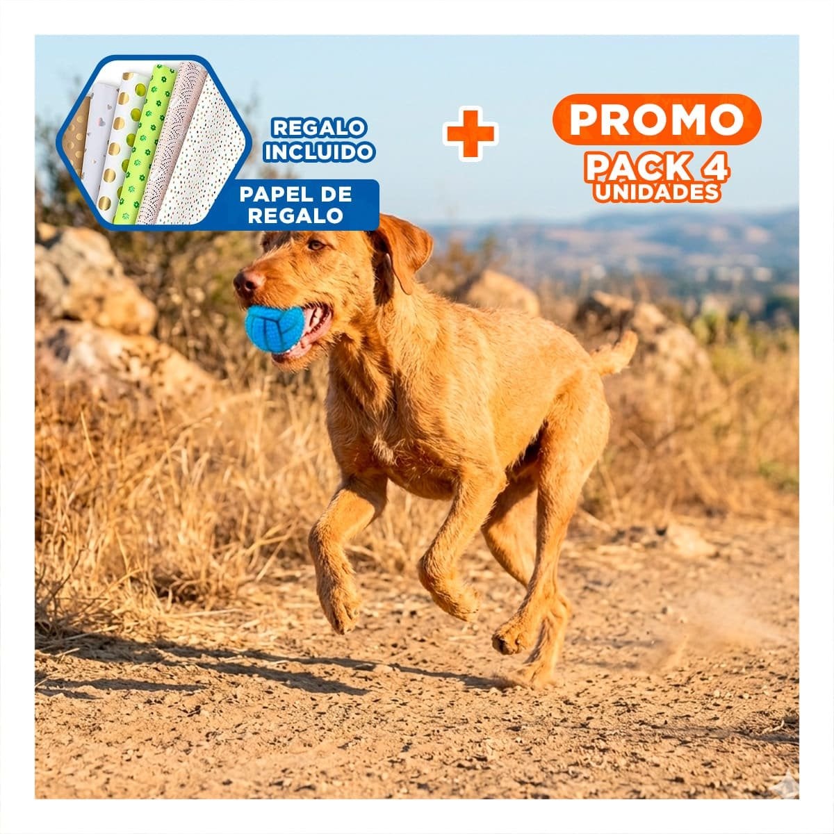 PACK4 SET INTERACTIVO PARA PERRO DE CAUCHO CON RAYAS, RELIEVE Y SONIDO AZUL Y+PAPEL REGALO - 1