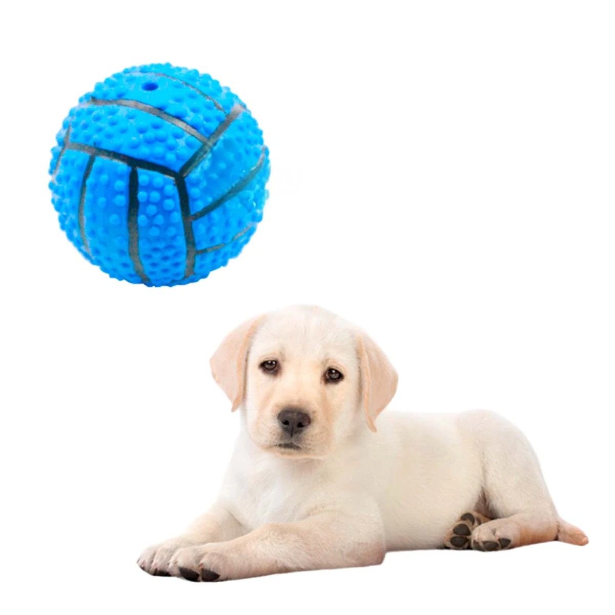 PACK4 SET INTERACTIVO PARA PERRO DE CAUCHO CON RAYAS, RELIEVE Y SONIDO AZUL Y+PAPEL REGALO - 3
