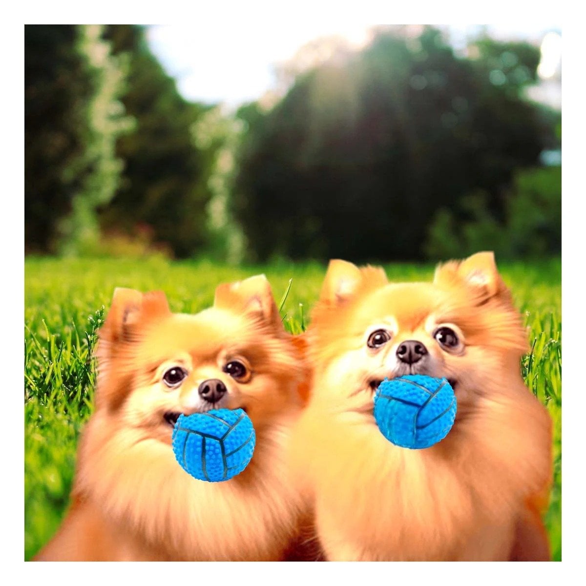 PACK4 SET INTERACTIVO PARA PERRO DE CAUCHO CON RAYAS, RELIEVE Y SONIDO AZUL Y+PAPEL REGALO - 5