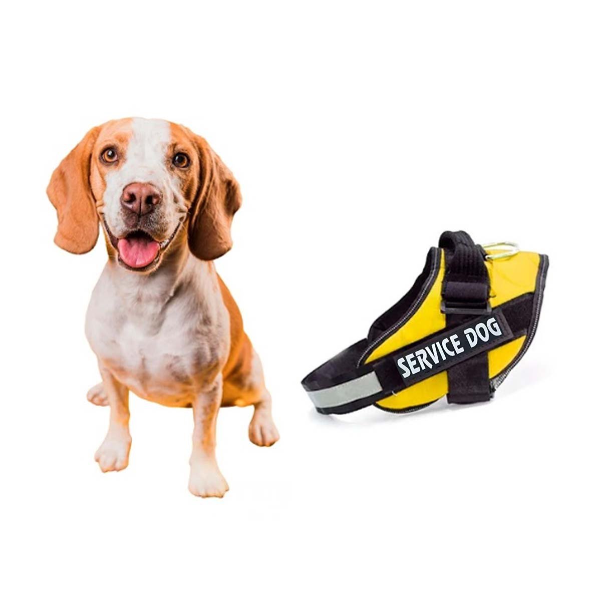 PACK6 CORREA AJUSTABLE TIPO PECHERA TALLA L COLOR AMARILLO Y+REGALO STICKER - 2