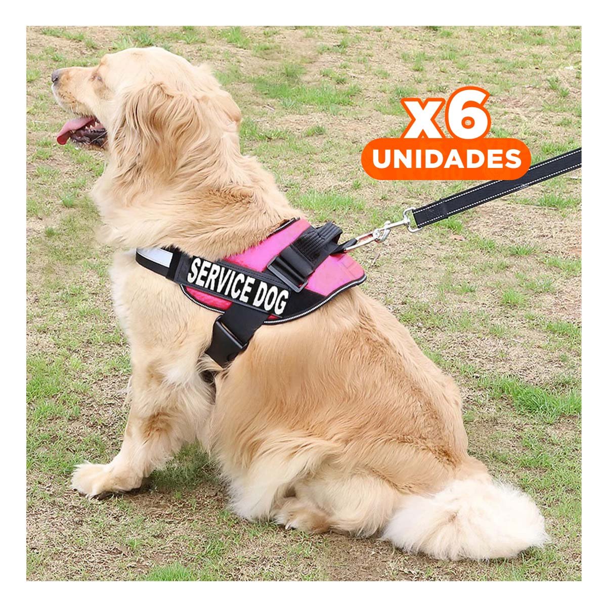 PACK6 CORREA AJUSTABLE TIPO PECHERA TALLA L COLOR ROSADO Y+REGALO STICKER - 1