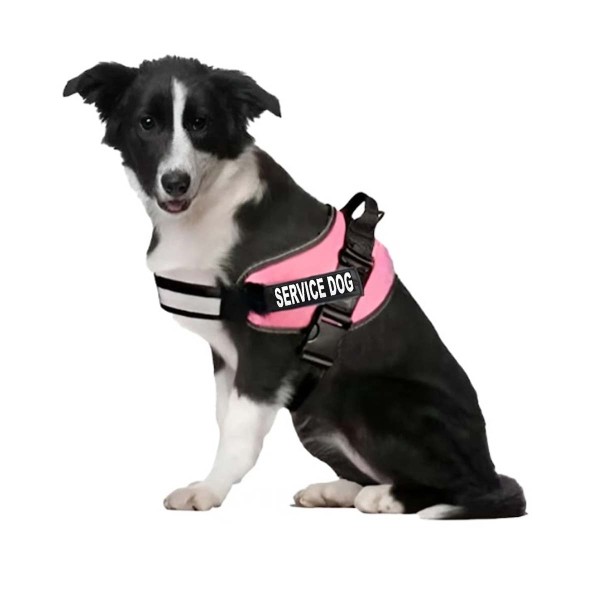 PACK6 CORREA AJUSTABLE TIPO PECHERA TALLA L COLOR ROSADO Y+REGALO STICKER - 2