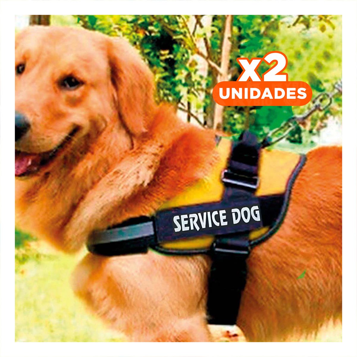 PACK2 CHALECO DE TRABAJO PARA PERRO TALLA L COLOR AMARILLO Y+REGALO STICKER - 1
