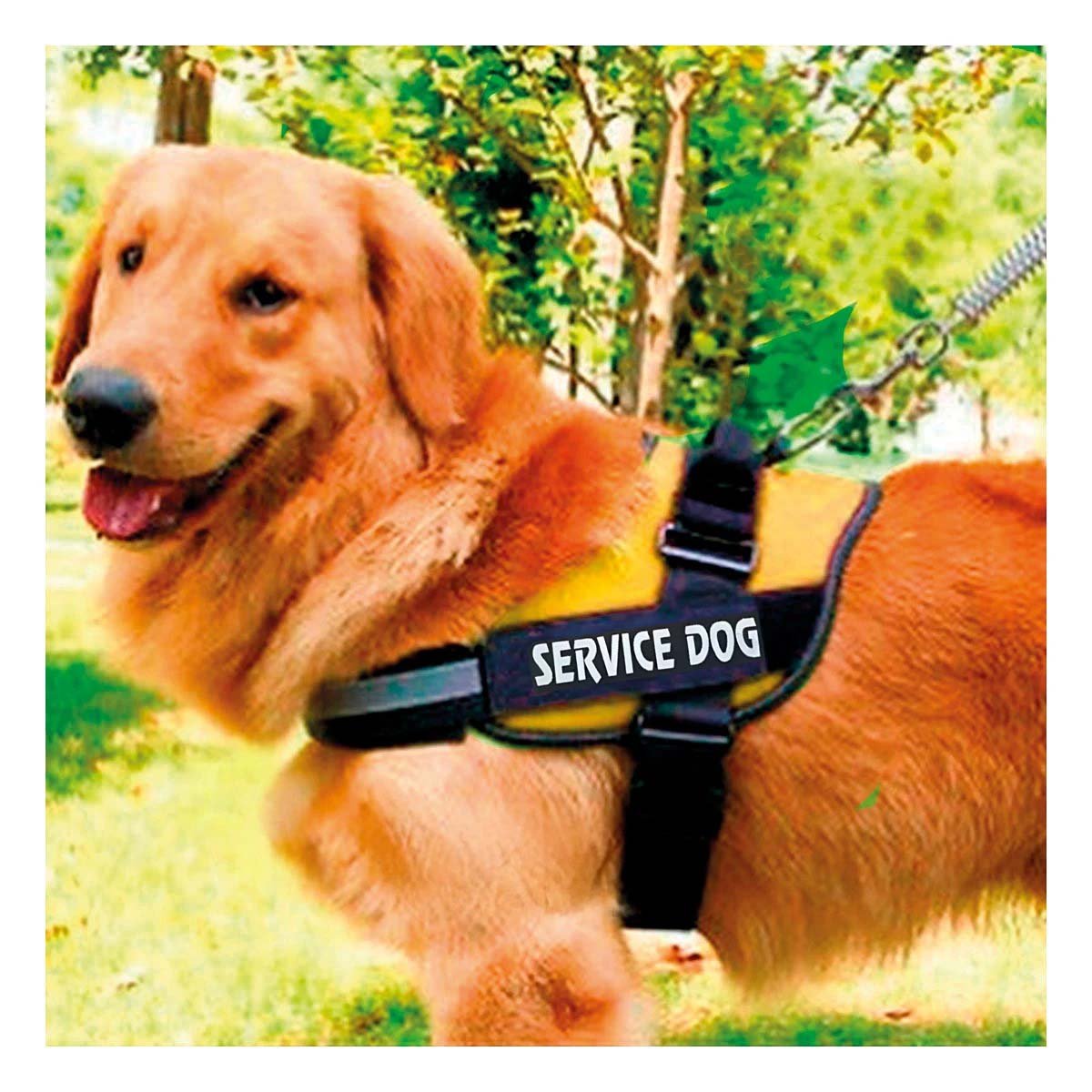 PACK2 CHALECO DE TRABAJO PARA PERRO TALLA L COLOR AMARILLO Y+REGALO STICKER - 3