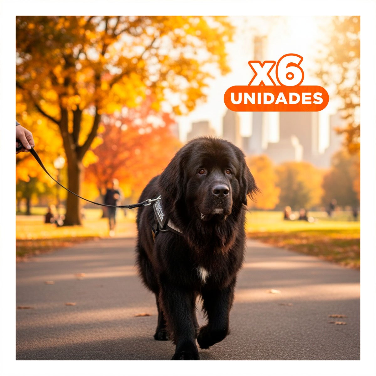 PACK6 CHALECO AJUSTABLE PARA PERRO DE SERVICIO TALLA L NEGRO Y+REGALO STICKER - 1