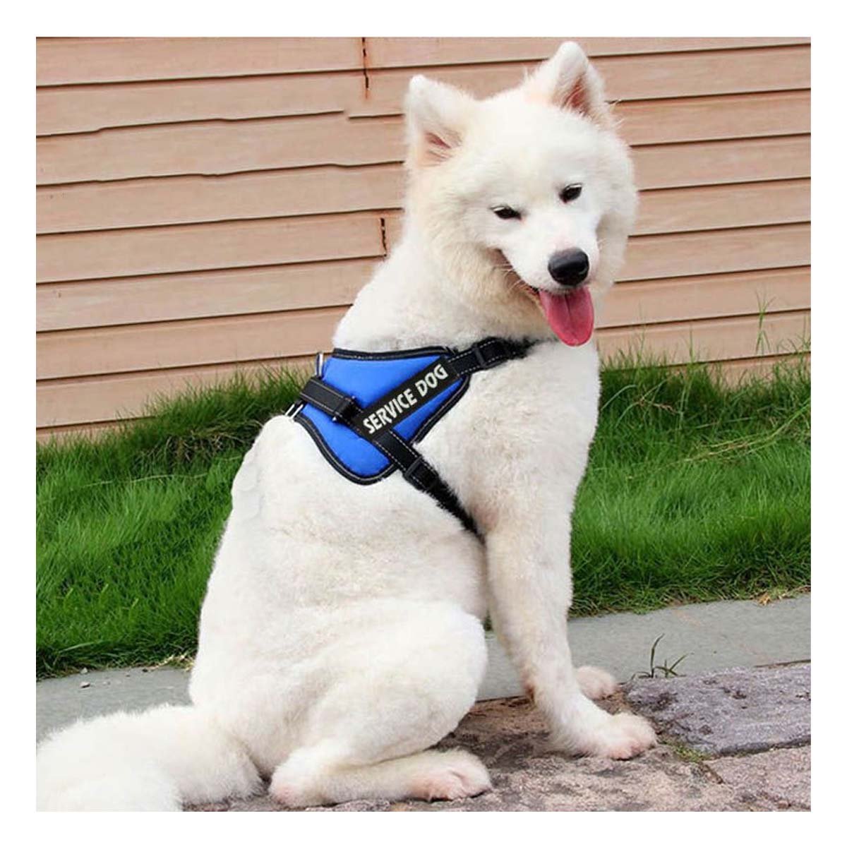 PACK6 ARNES AJUSTABLE PARA PERRO DE SERVICIO TALLA L AZUL - 2