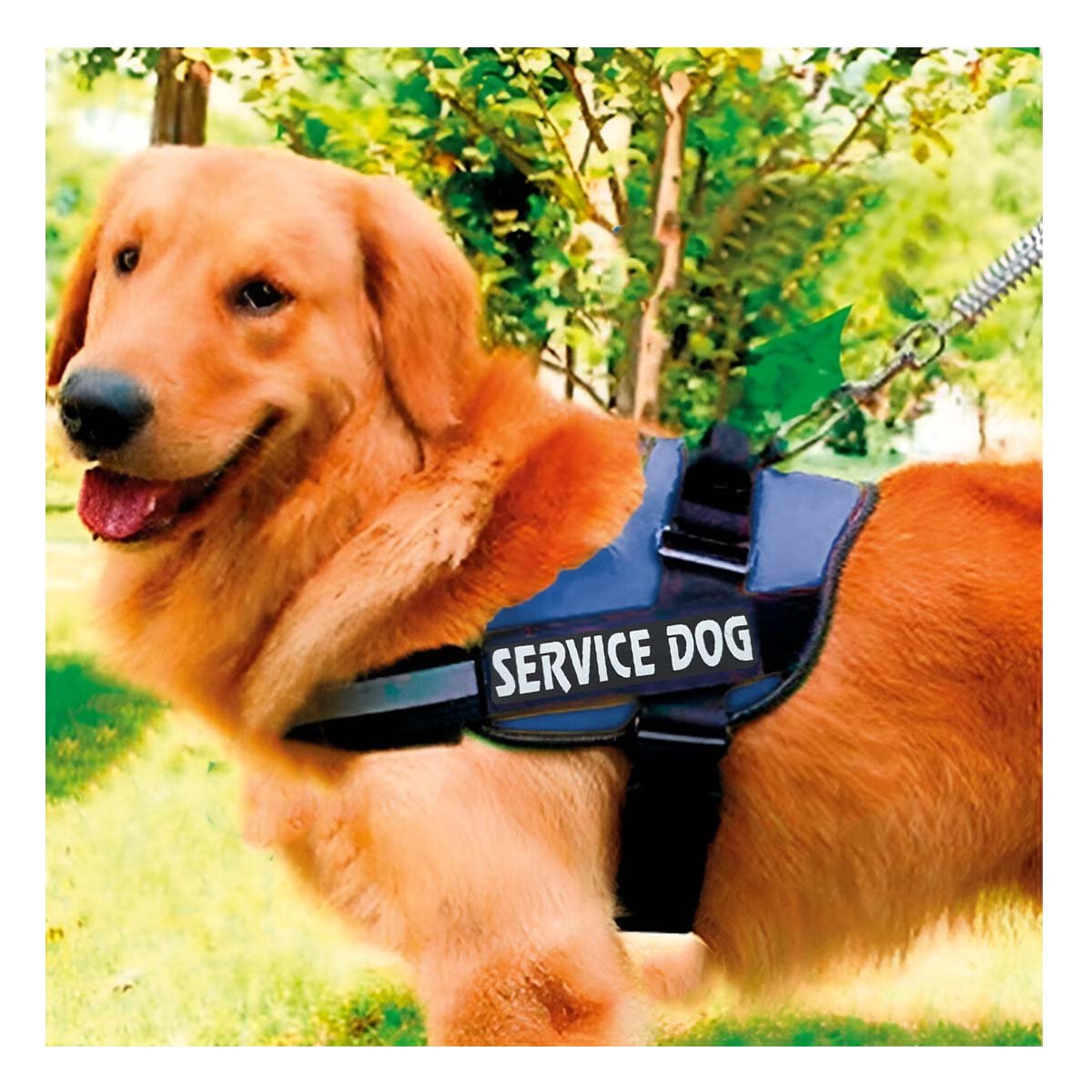PACK6 CHALECO AJUSTABLE PARA PERRO DE SERVICIO TALLA L AZUL Y+REGALO STICKER - 3