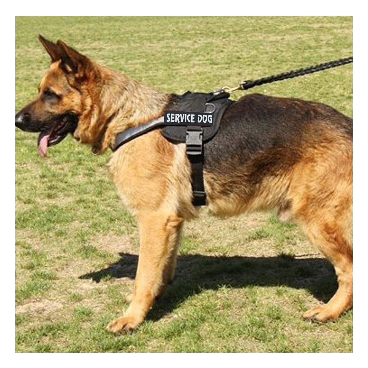 PACK4 CHALECO DE TRABAJO PARA PERRO TALLA L COLOR NEGRO - 5