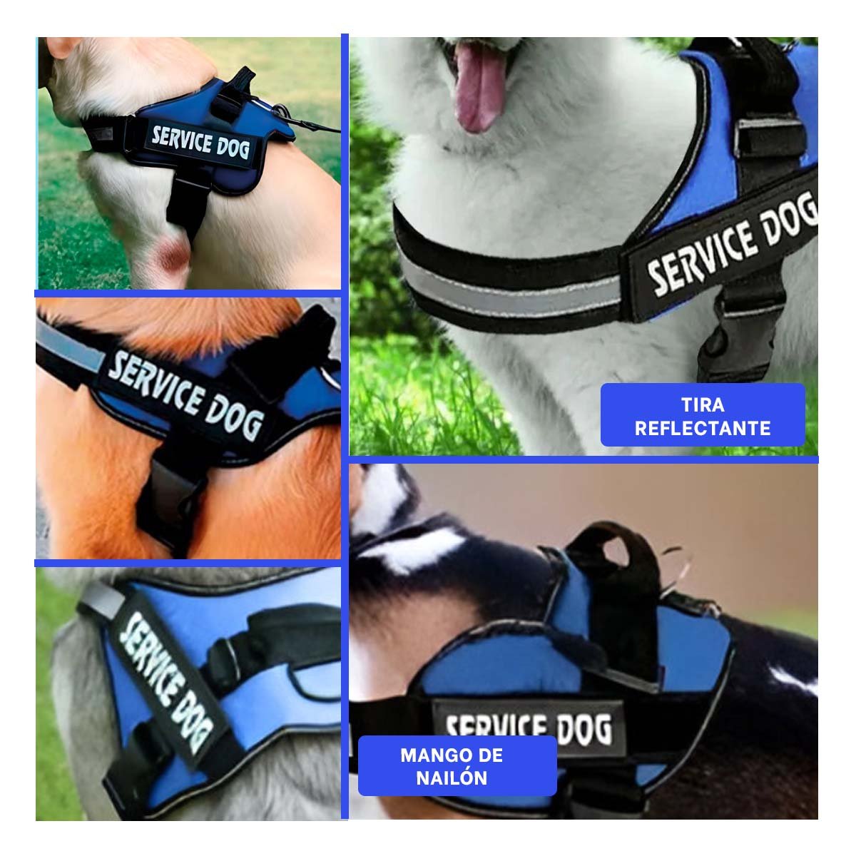 PACK2 ARNES DE TRABAJO PARA PERRO TALLA L COLOR AZUL Y+PAPEL REGALO - 3