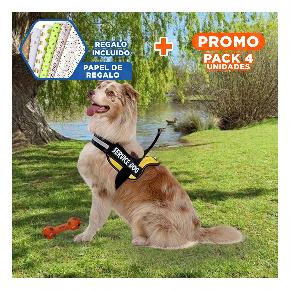 PACK4 CINTURON DE TRABAJO PARA PERRO TALLA L COLOR AMARILLO Y+PAPEL REGALO - 1