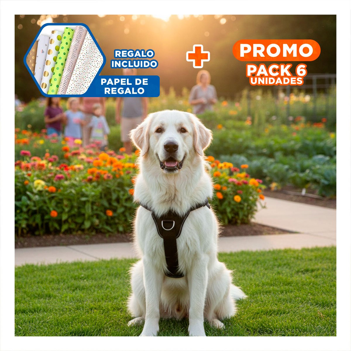 PACK6 PECHERA AJUSTABLE PARA PERRO DE SERVICIO TALLA L NEGRO Y+PAPEL REGALO - 1
