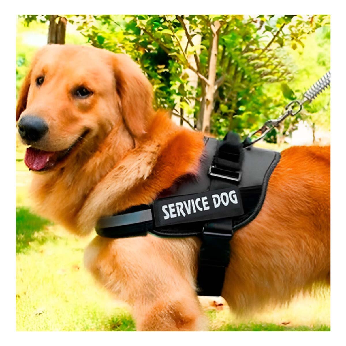 PACK6 PECHERA AJUSTABLE PARA PERRO DE SERVICIO TALLA L NEGRO Y+PAPEL REGALO - 5
