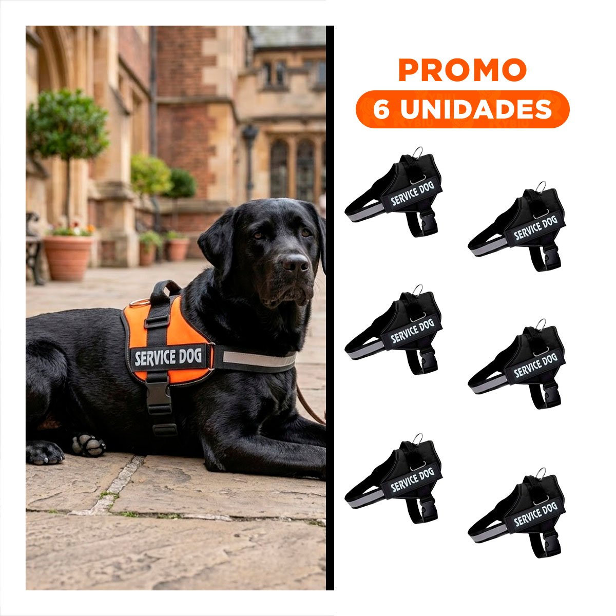 PACK6 ARNES AJUSTABLE PARA PERRO DE SERVICIO TALLA L NEGRO - 1