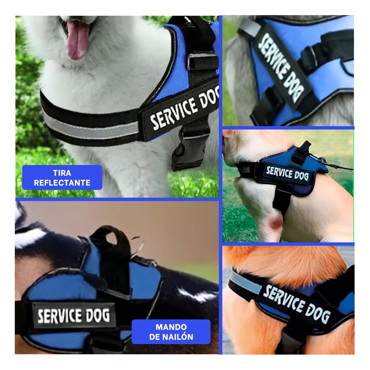 PACK4 CINTURON DE TRABAJO PARA PERRO TALLA L COLOR AZUL Y+REGALO STICKER - 2