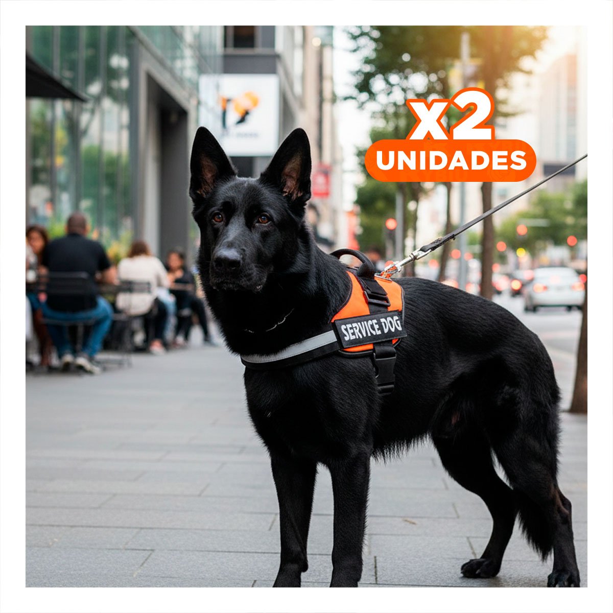 PACK2 PECHERA DE TRABAJO PARA PERRO TALLA L COLOR ANARANJADO Y+REGALO STICKER - 1