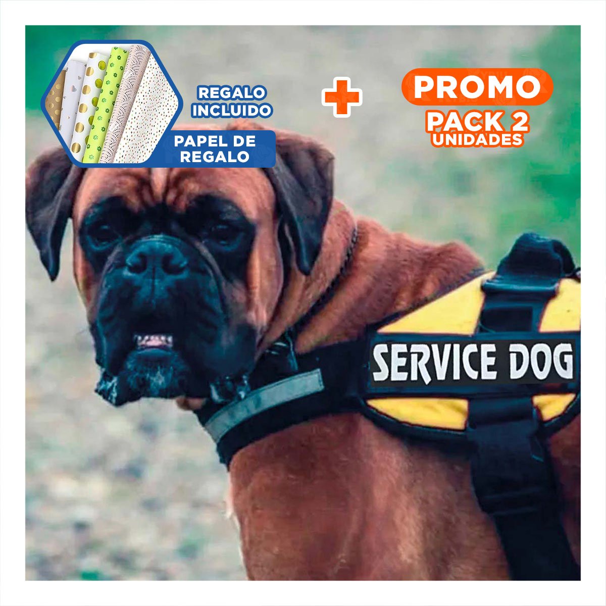 PACK2 PECHERA DE TRABAJO PARA PERRO TALLA L COLOR AMARILLO Y+PAPEL REGALO - 1