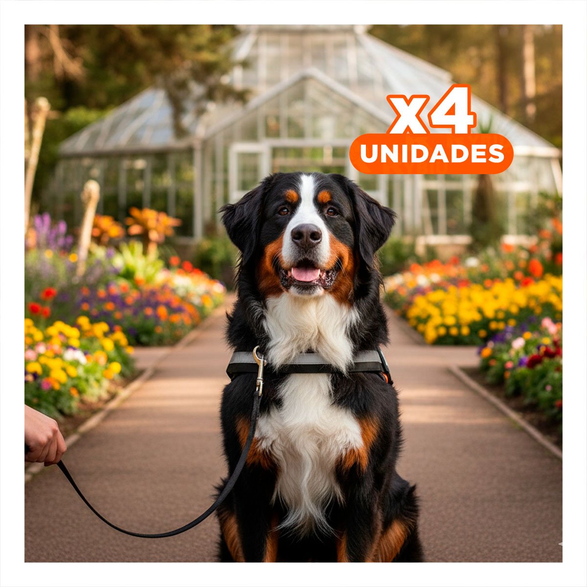 PACK4 CHALECO DE TRABAJO PARA PERRO TALLA L COLOR ANARANJADO - 1