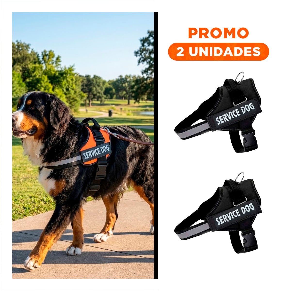 PACK2 CINTURON PROFESIONAL PARA PERRO DE SERVICIO TALLA L NEGRO - 1