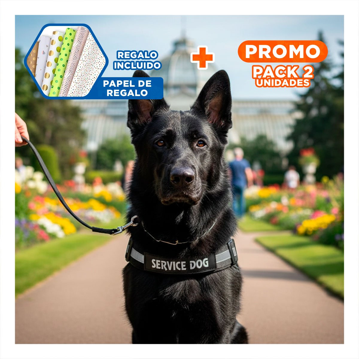 PACK2 ARNES DE TRABAJO PARA PERRO TALLA L COLOR NEGRO Y+PAPEL REGALO - 1