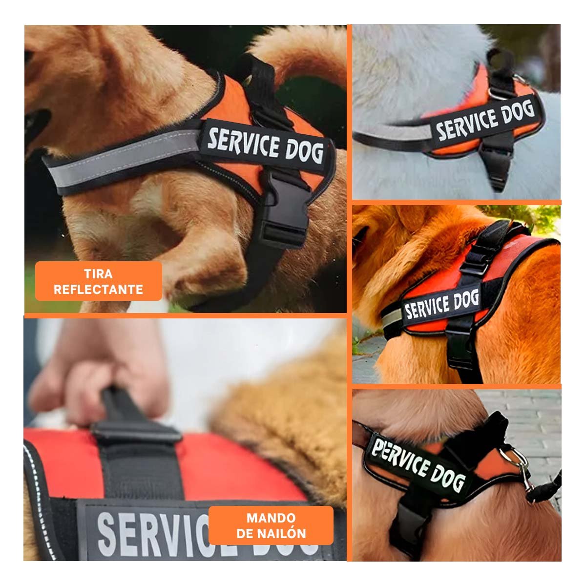 PACK4 CINTURON DE TRABAJO PARA PERRO TALLA L COLOR ANARANJADO Y+REGALO STICKER - 2
