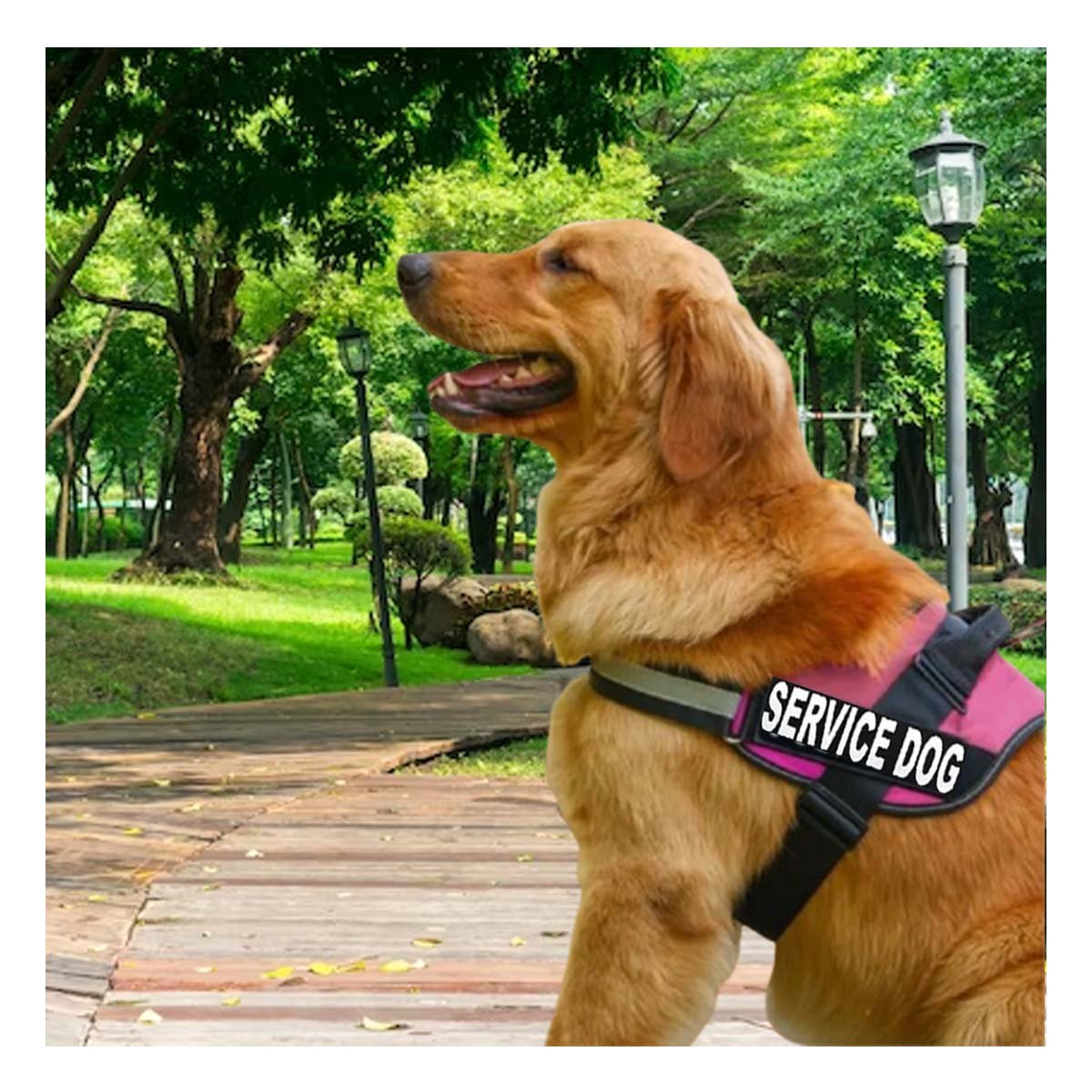 PACK4 CORREA DE TRABAJO TIPO PECHERA TALLA L COLOR ROSADO - 5