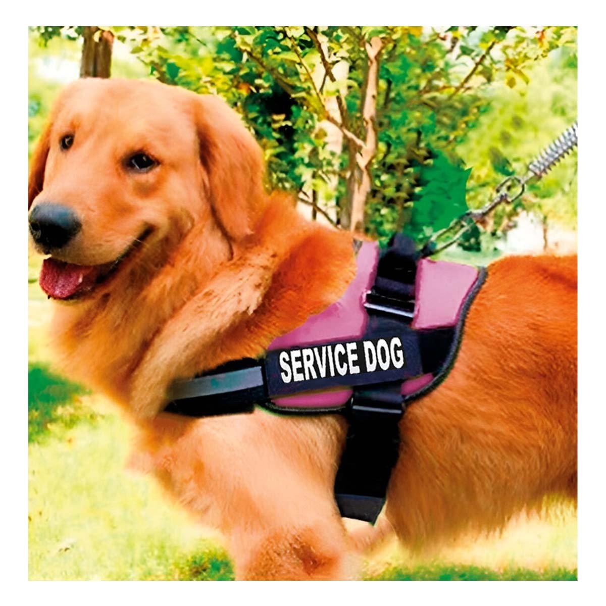 PACK6 CHALECO AJUSTABLE PARA PERRO DE SERVICIO TALLA L ROSADO Y+PAPEL REGALO - 2