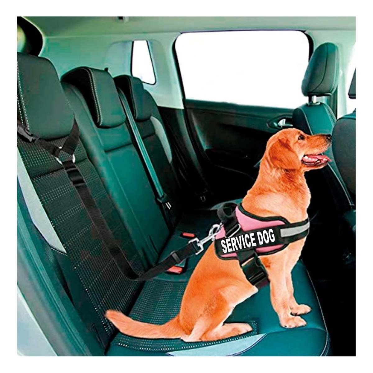 PACK6 CHALECO AJUSTABLE PARA PERRO DE SERVICIO TALLA L ROSADO Y+PAPEL REGALO - 5