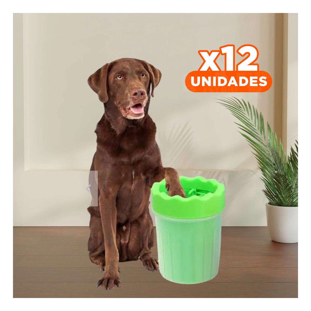 PACK12 CEPILLO PARA LIMPIAR PATAS DE MASCOTA VERDE USO DIARIO - 1