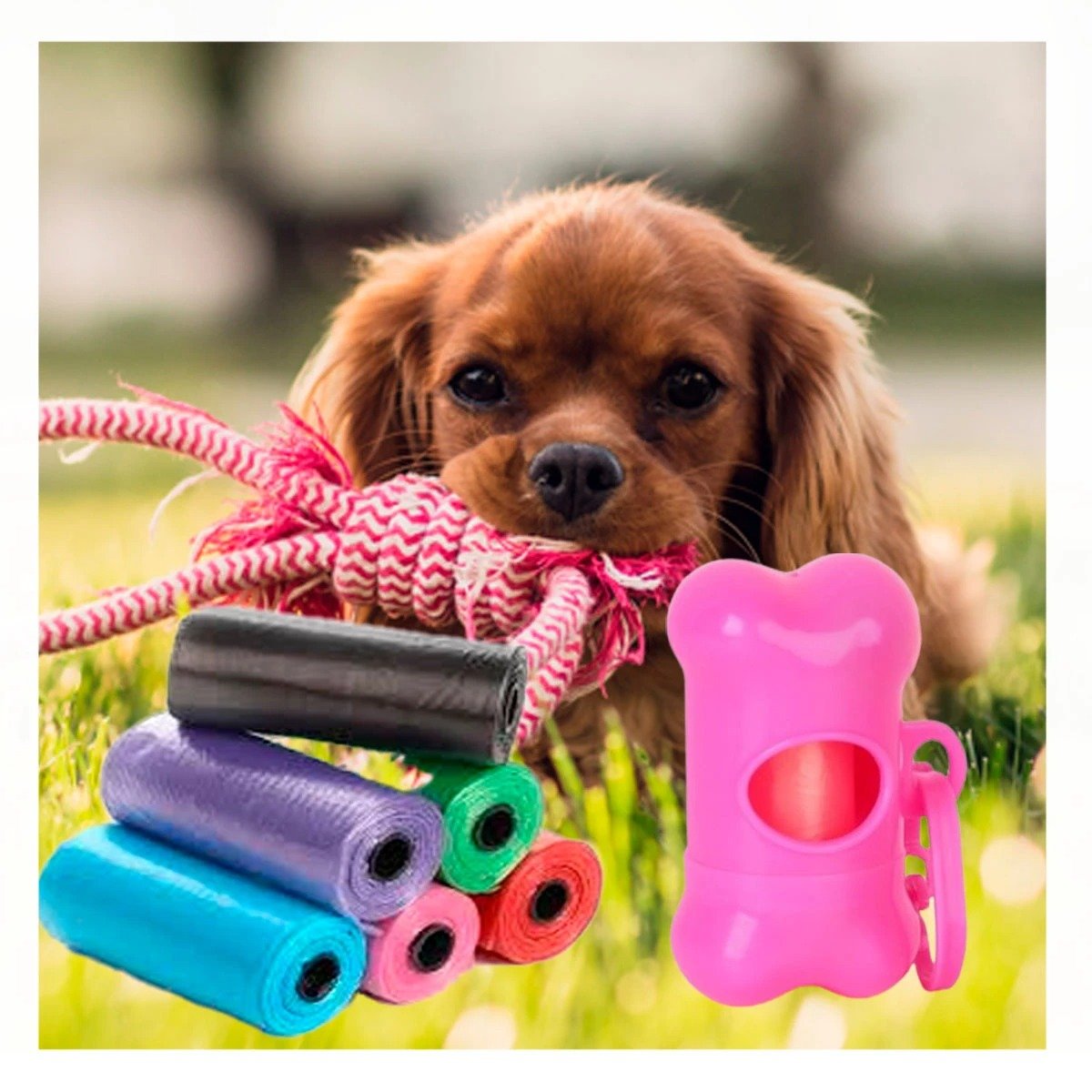 PACK2 DISPENSADOR COMPACTO CON 5 BOLSAS Y PORTA BOLSA ROSADO RESISTENTE - 3