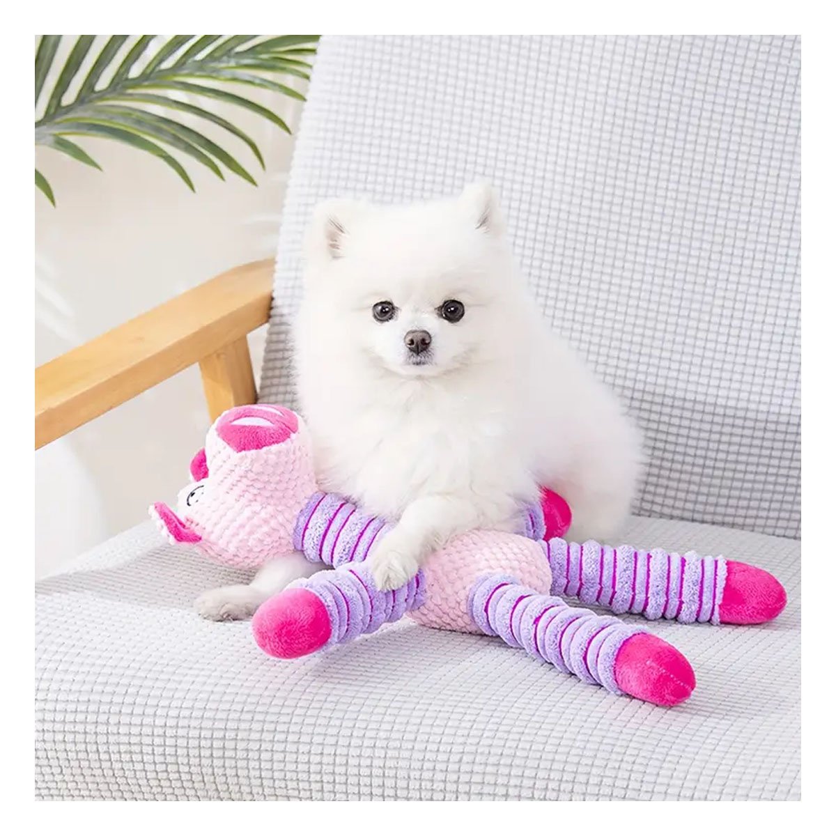 PACK2 KIT DE JUEGO PARA MASCOTAS EN FORMA DE CHANCHO ROSADO Y LILA SUAVE Y+PAPEL REGALO - 5