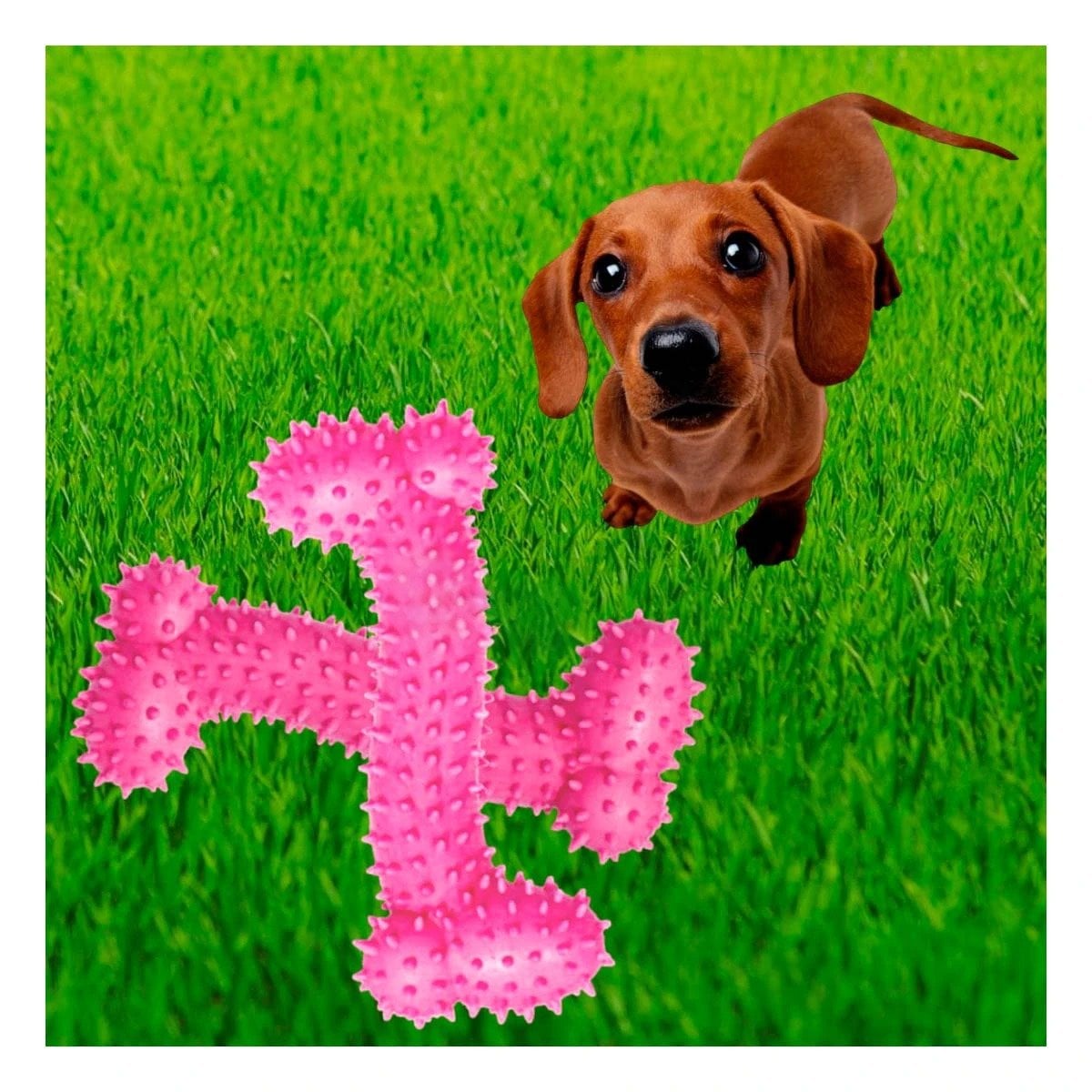 PACK12 APARATO INTERACTIVO DE GOMA EN FORMA DE HUESO ROSADO SEGURO - 2