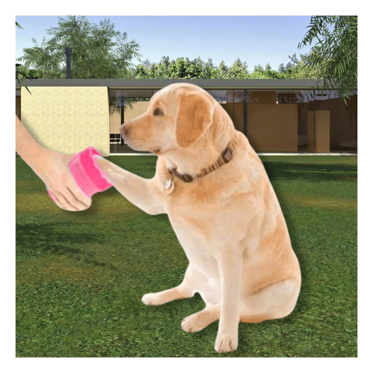 PACK4 HERRAMIENTA PARA LIMPIAR PATAS DE MASCOTA ROSADO HIGIENE RÁPIDA - 2