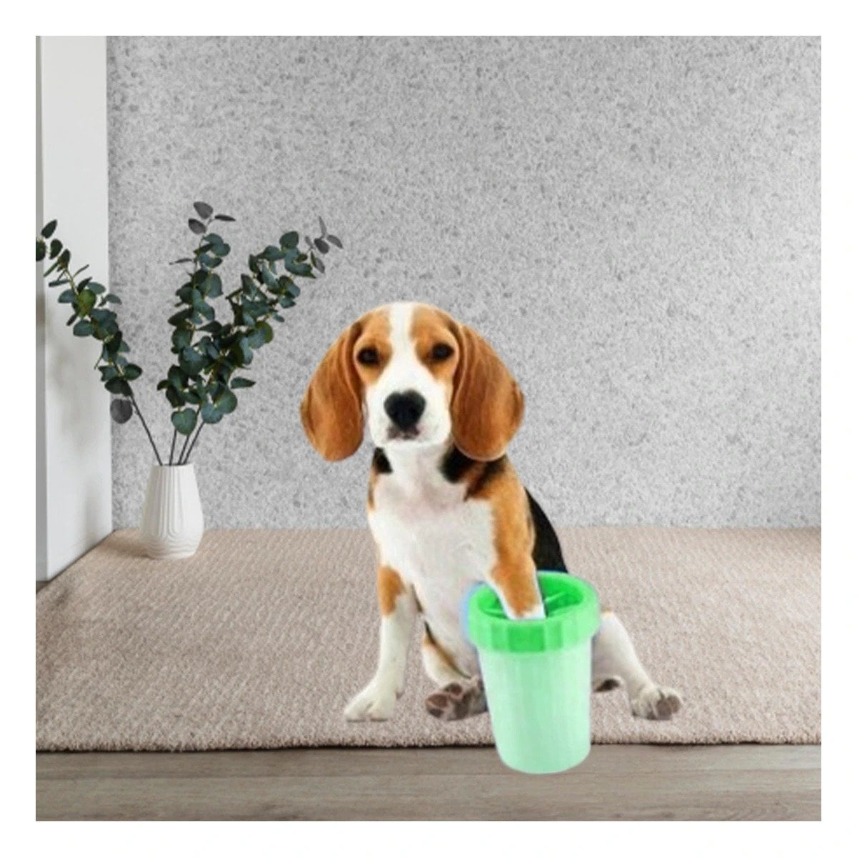 PACK2 APARATO PARA LIMPIAR PATAS DE MASCOTA VERDE IDEAL PARA LLUVIA Y+PAPEL REGALO - 2