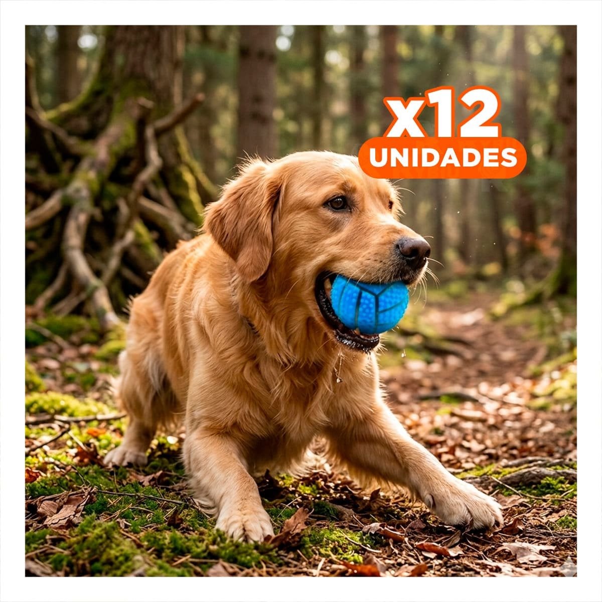 PACK12 KIT INTERACTIVO PARA PERRO DE CAUCHO CON RAYAS, RELIEVE Y SONIDO AZUL - 1