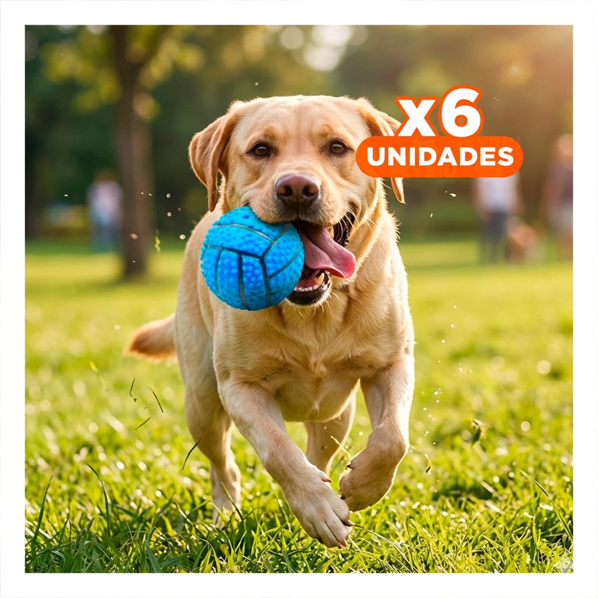 PACK6 KIT PARA PERRO A RAYAS DE CAUCHO CON RELIEVE Y SONIDO COLOR AZUL Y+REGALO STICKER - 1