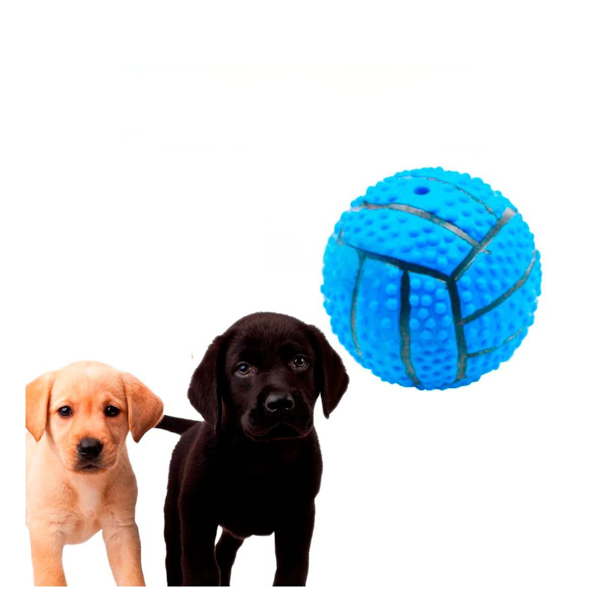 PACK6 KIT PARA PERRO A RAYAS DE CAUCHO CON RELIEVE Y SONIDO COLOR AZUL Y+REGALO STICKER - 2