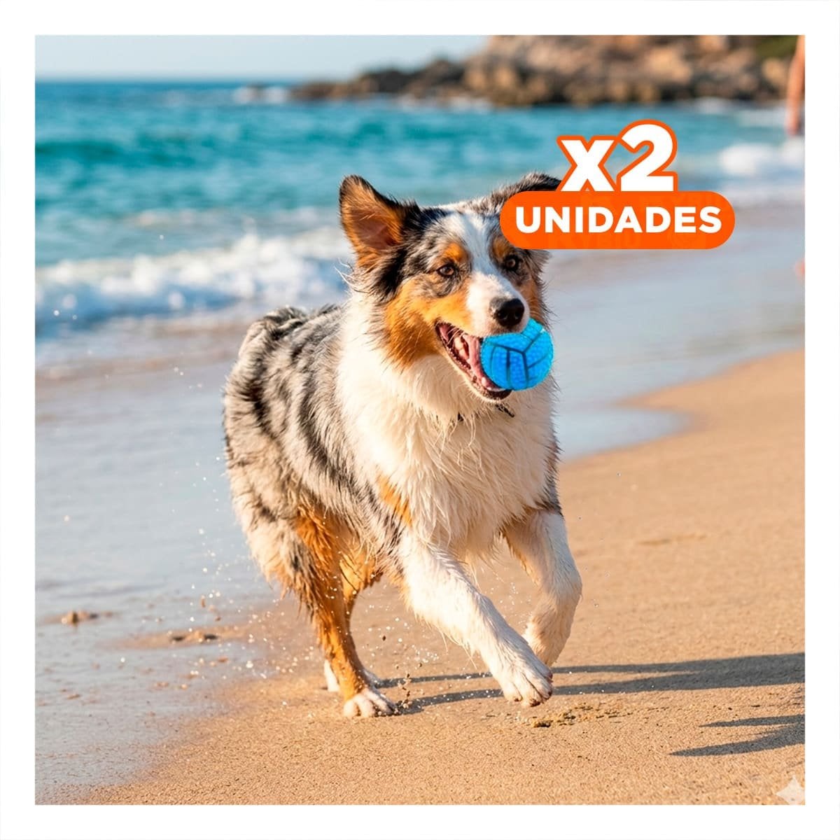 PACK2 ACCESORIO RESISTENTE PARA PERRO A RAYAS DE CAUCHO CON SONIDO AZUL Y+REGALO STICKER - 1