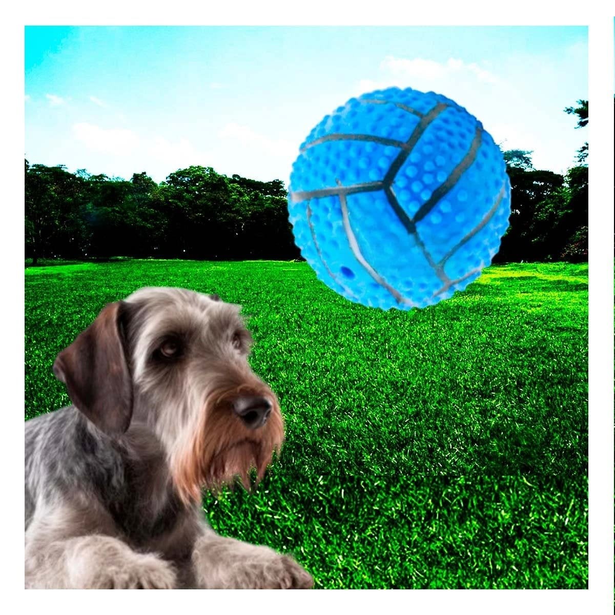PACK2 ACCESORIO RESISTENTE PARA PERRO A RAYAS DE CAUCHO CON SONIDO AZUL Y+REGALO STICKER - 3