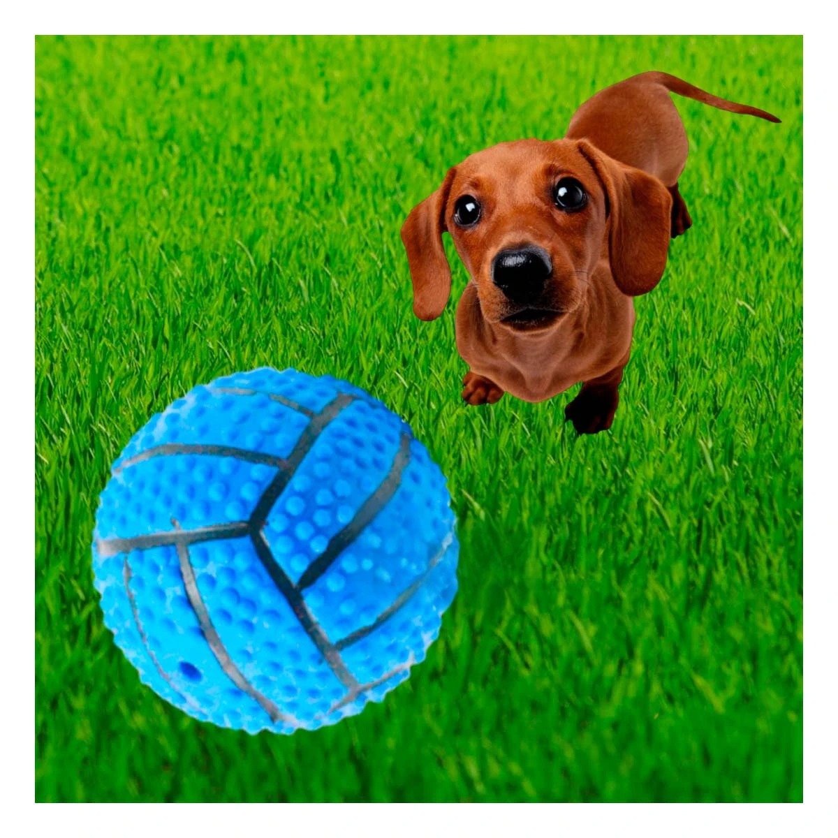 PACK2 ACCESORIO RESISTENTE PARA PERRO A RAYAS DE CAUCHO CON SONIDO AZUL Y+REGALO STICKER - 5