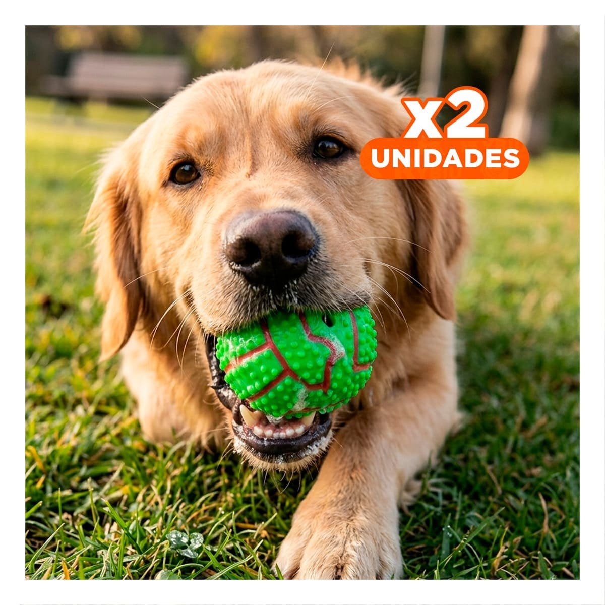 PACK2 ACCESORIO RESISTENTE VERDE PARA PERRO A RAYAS DE CAUCHO CON SONIDO Y+REGALO STICKER - 1