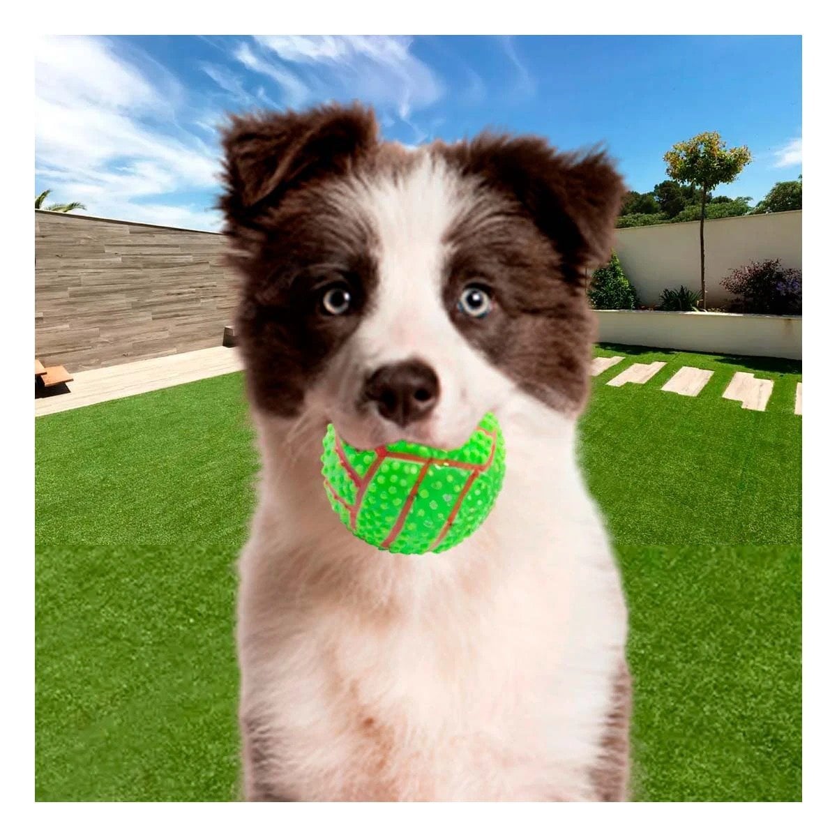 PACK2 ACCESORIO RESISTENTE VERDE PARA PERRO A RAYAS DE CAUCHO CON SONIDO Y+REGALO STICKER - 5