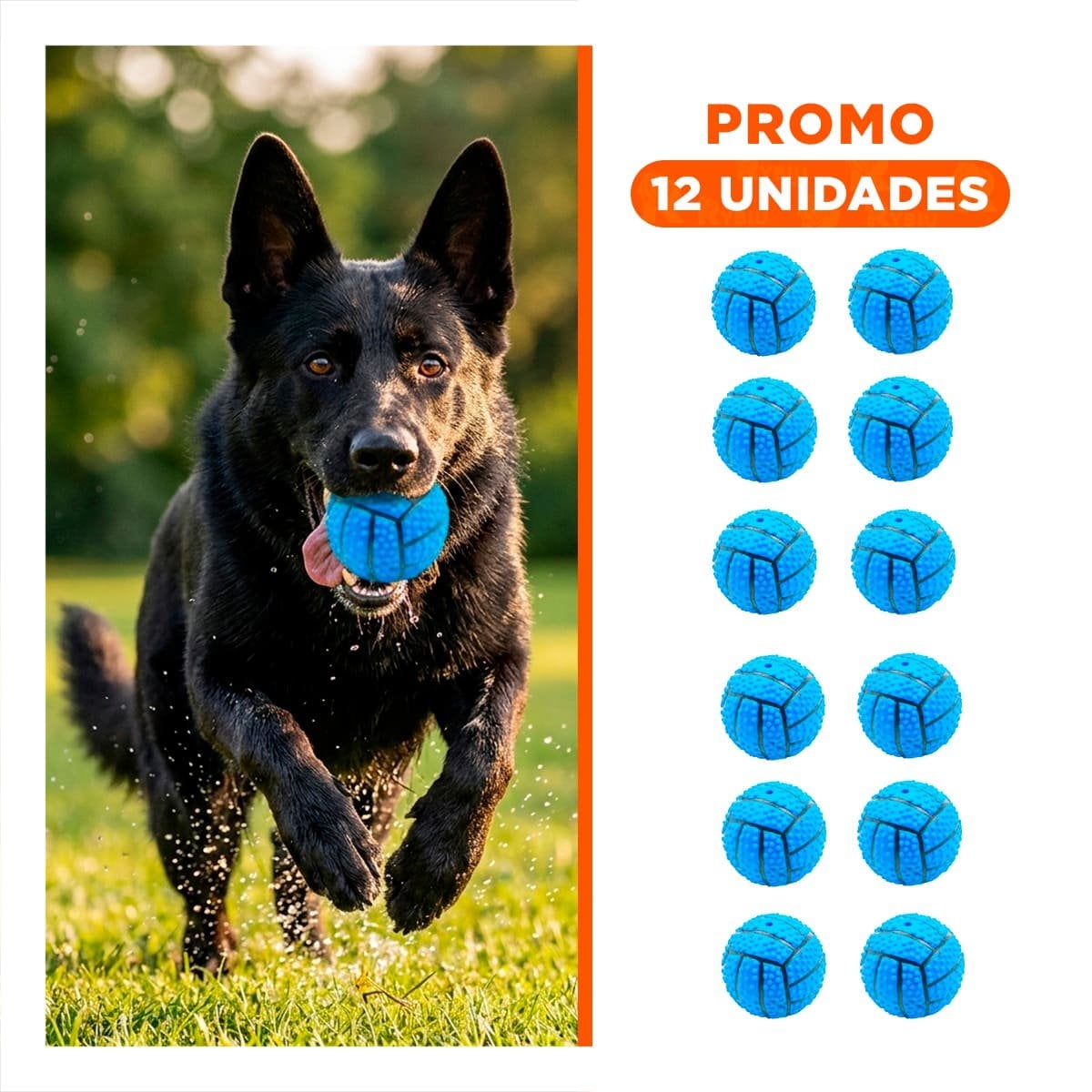 PACK12 KIT DE JUEGO PARA PERRO DE CAUCHO CON RAYAS, RELIEVE Y SONIDO AZUL Y+REGALO STICKER - 1