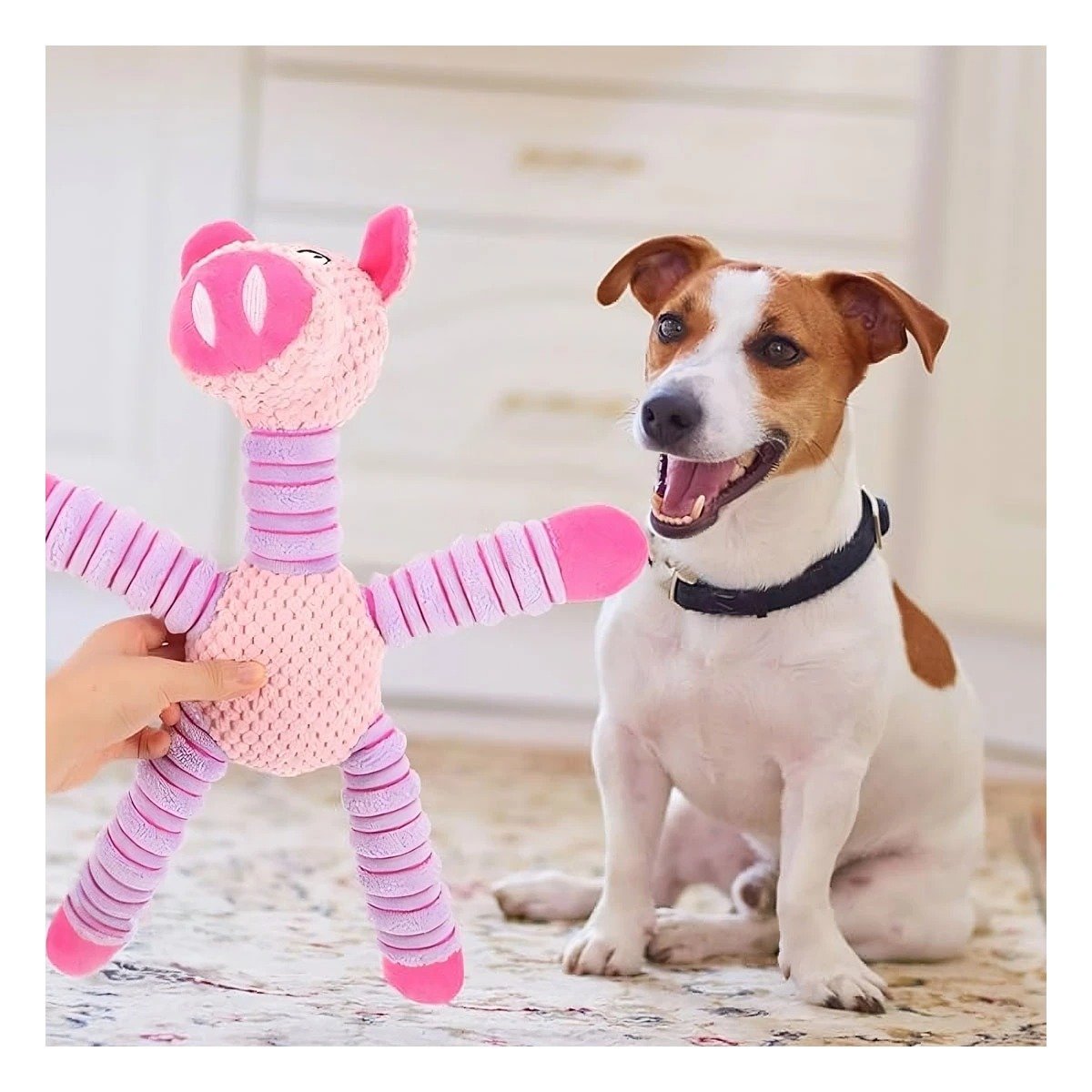 PACK4 SET INTERACTIVO PARA MASCOTAS FORMA DE CHANCHO ROSADO Y LILA RECOMENDADO Y+PAPEL REGALO - 2