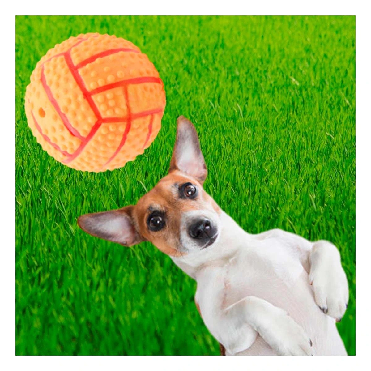PACK12 KIT DE JUEGO PARA PERRO DE CAUCHO ANARANJADO CON RAYAS Y SONIDO Y+REGALO STICKER - 5