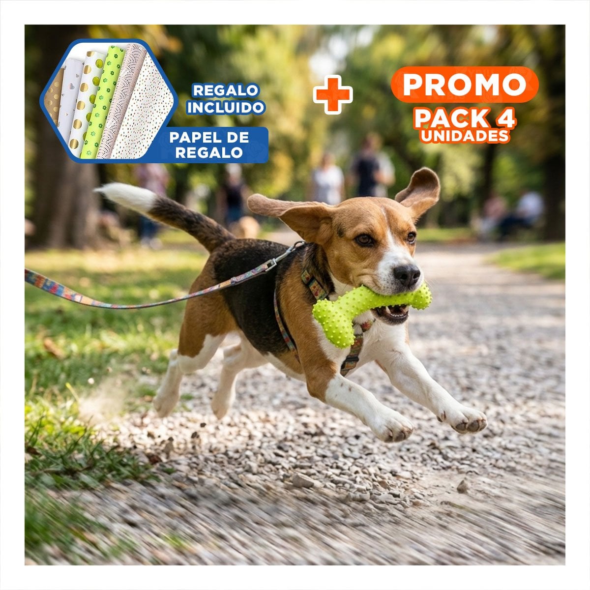 PACK4 SET INTERACTIVO DE GOMA EN FORMA DE HUESO VERDE LIMON DIVERTIDO Y+PAPEL REGALO - 1