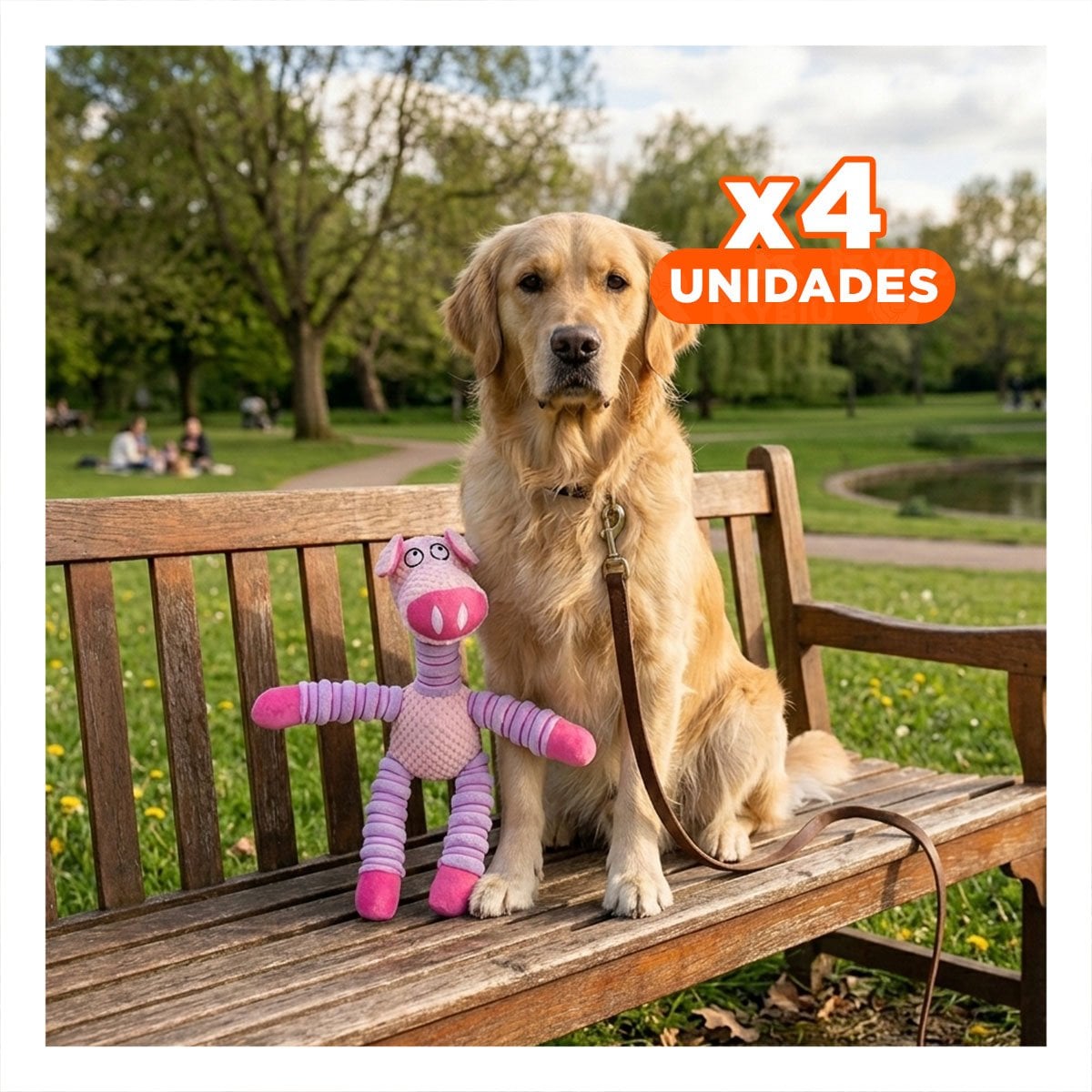 PACK4 SET PARA MASCOTAS EN FORMA DE CHANCHO ROSADO Y LILA DIVERTIDO Y SEGURO - 1