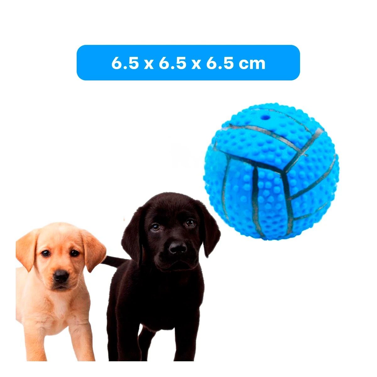 PACK6 SET RESISTENTE PARA PERRO A RAYAS DE CAUCHO CON SONIDO Y RELIEVE AZUL Y+PAPEL REGALO - 4